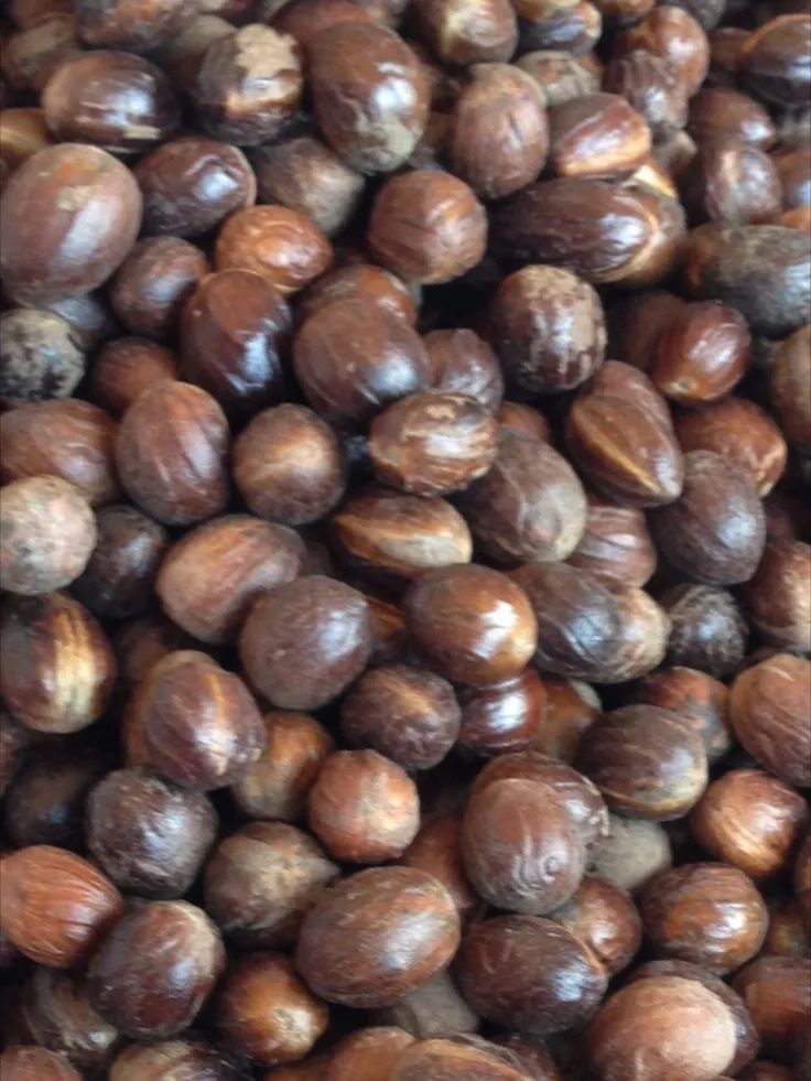 Nutmeg In Shell